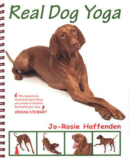 REAL DOG YOGA - ON SALE