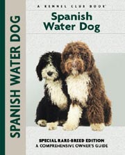 SPANISH WATER DOG