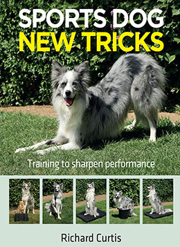 Sports Dog New Tricks