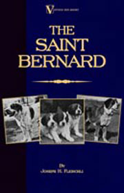 ST BERNARD - ORIGIN, HISTORY AND DEVELOPMENT