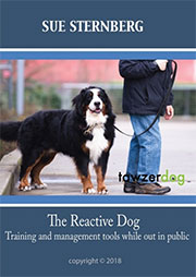 THE REACTIVE DOG