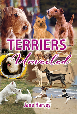 TERRIERS UNVEILIED - NOW IN STOCK!