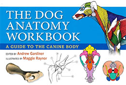 THE DOG ANATOMY WORKBOOK