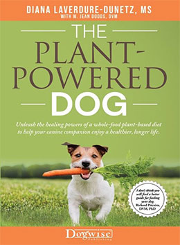THE PLANT POWERED DOG