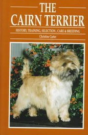 CAIRN TERRIER THE