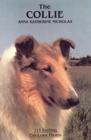 COLLIE THE