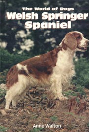 WELSH SPRINGER SPANIEL Kingdom