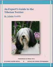 TIBETAN TERRIER