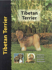 TIBETAN TERRIER (Interpet / Kennel Club)  - OUT OF STOCK