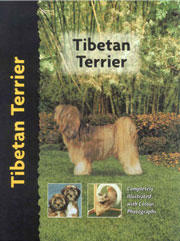 TIBETAN TERRIER (Interpet / Kennel Club)  - OUT OF STOCK