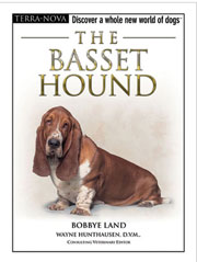 BASSET HOUND (Terra-Nova/Interpet)