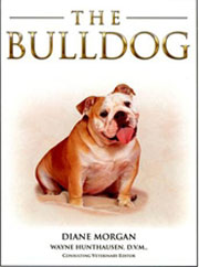 BULLDOG (Terra-Nova / Interpet)