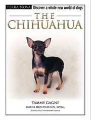 CHIHUAHUA (Terra-Nova / Interpet)