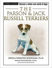 PARSON AND JACK RUSSELL TERRIERS (Terra-Nova / Interpet)