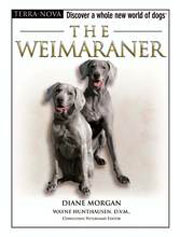 WEIMARANER (Terra-Nova / Interpet)