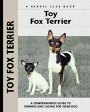 TOY FOX TERRIER (Interpet / Kennel Club)