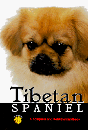 TIBETAN SPANIEL