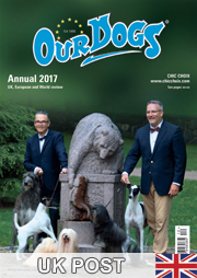 OUR DOGS ANNUAL 2017 - UK POST - ON SALE