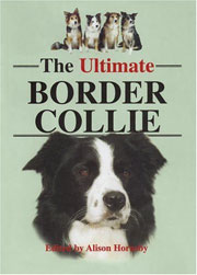 BORDER COLLIE THE ULTIMATE