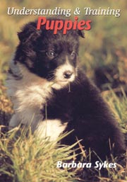 UNDERSTANDING AND TRAINING PUPPIES