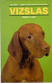 VIZSLAS KW