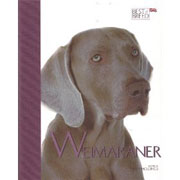 WEIMARANER