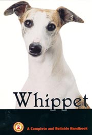 WHIPPET