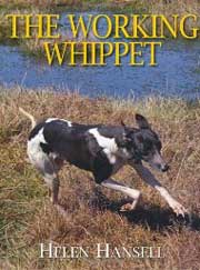 THE WORKING WHIPPET