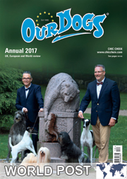 OUR DOGS ANNUAL 2017 - WITH WORLDWIDE POST £27.50 total inc p&p