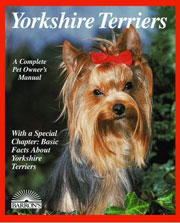 YORKSHIRE TERRIER (Barron)